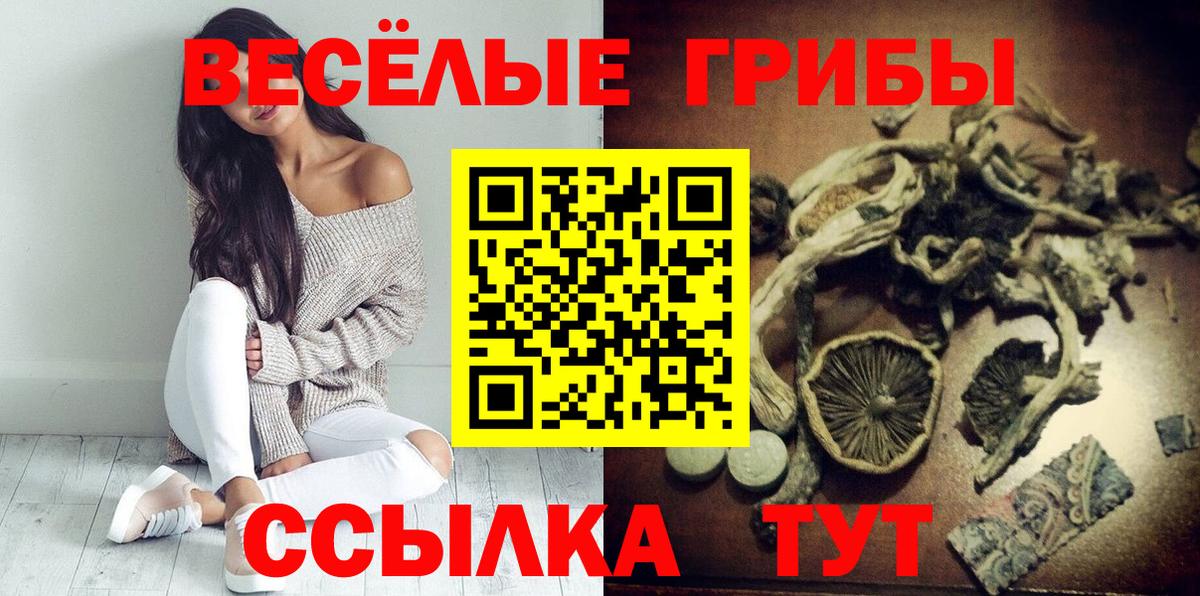 Псилоцибиновые грибы Psilocybine cubensis Отрадный