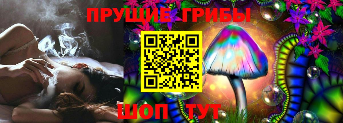 Отрадный  Псилоцибиновые грибы Magic Shrooms  Вход с VPN  Галлюциногенные грибы Cubensis 